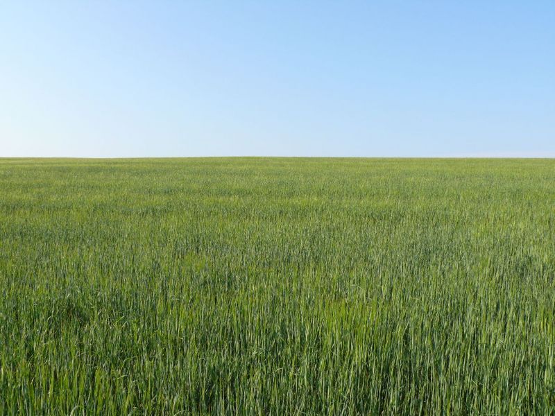 Вид на юг/South view