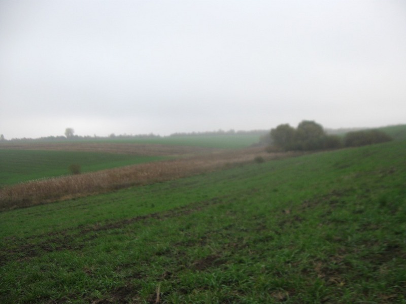East view