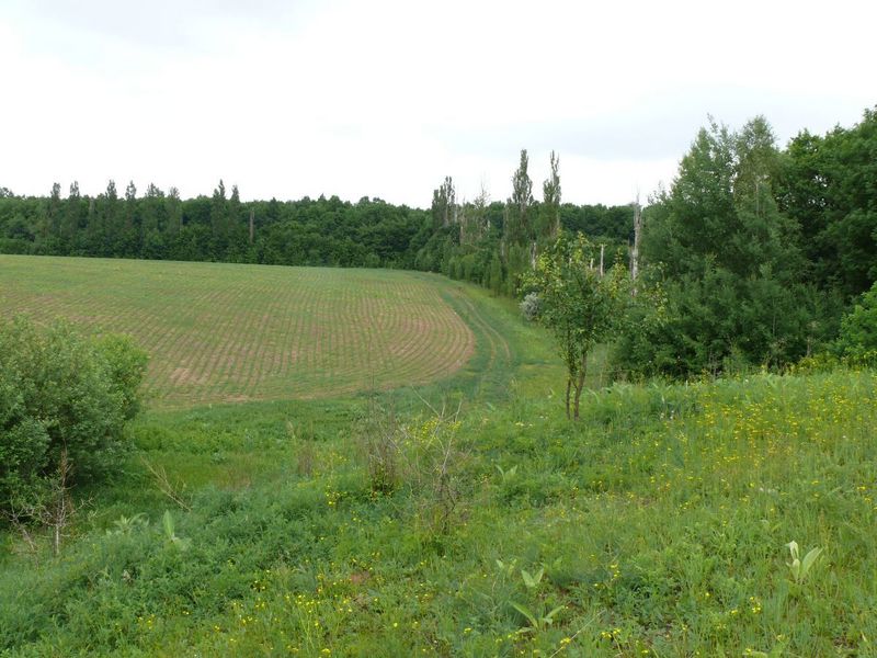 Вид на север/North view