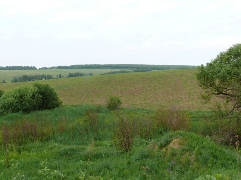 Вид на запад/West view