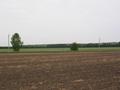 #2: Looking north from confluence