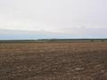 #5: Looking south