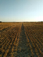 #4: View to South-West