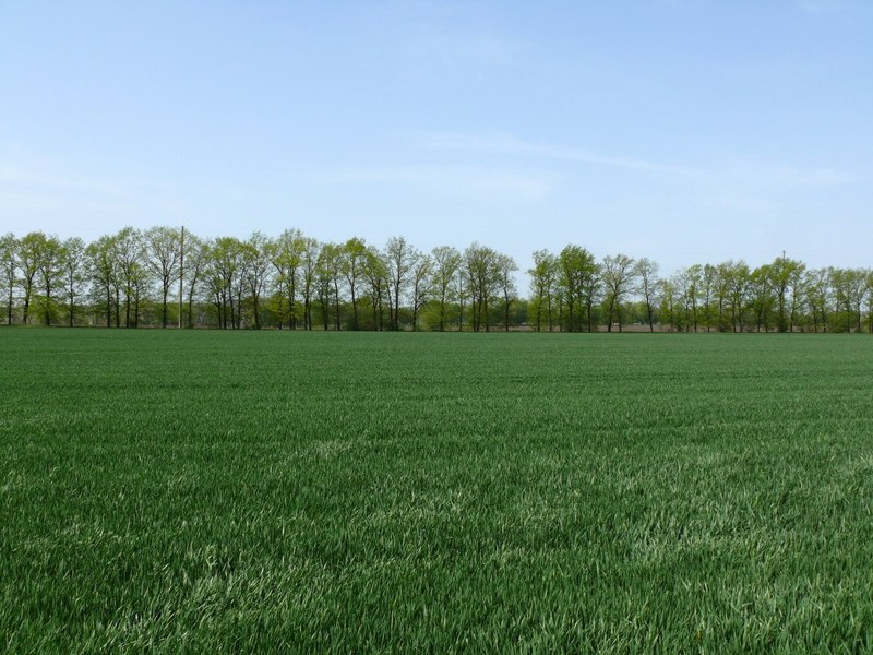 Вид на запад / West view