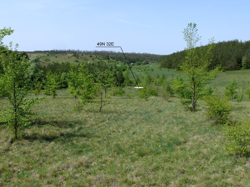 Общий вид слияния / General view