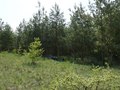 #3: Вид на юг / South view