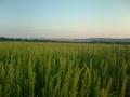 #2: North