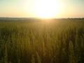 #3: East
