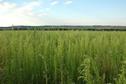 #4: View to the North