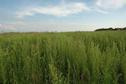 #6: View to the South