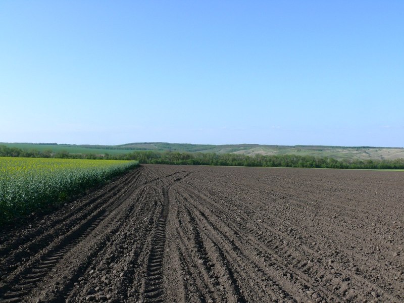 Вид на север / North view