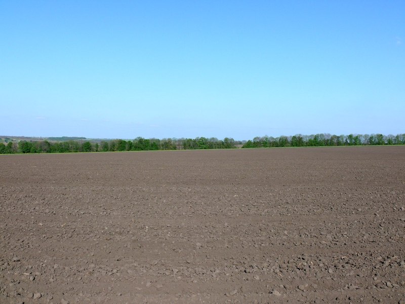 Вид на восток / East view