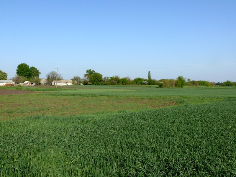 Вид на восток / East view