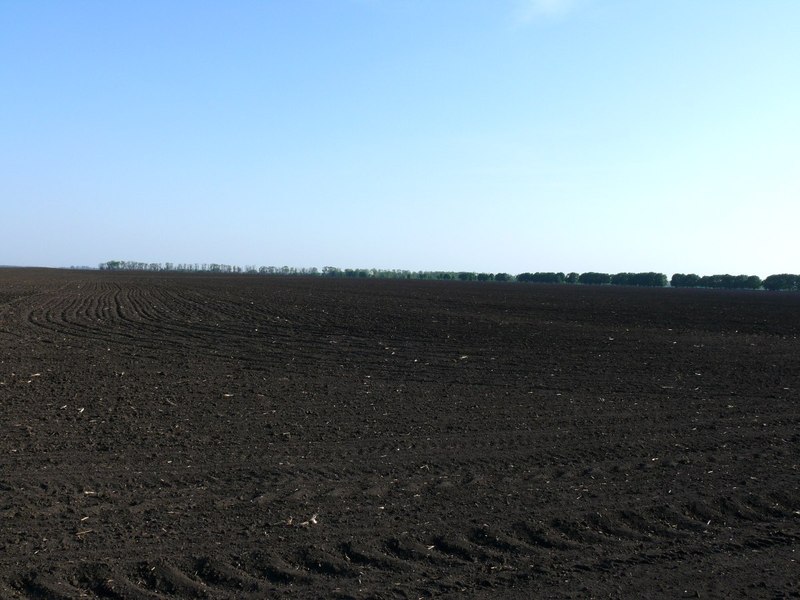 Вид на юг / South view