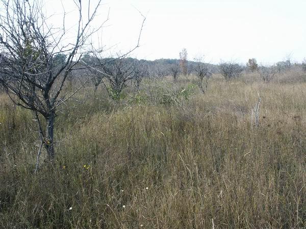 General view