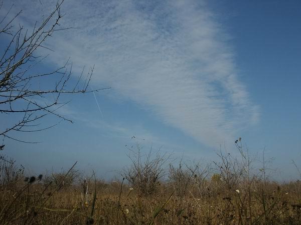 The land, the tree and the cloud