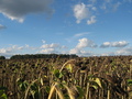 #3: North view