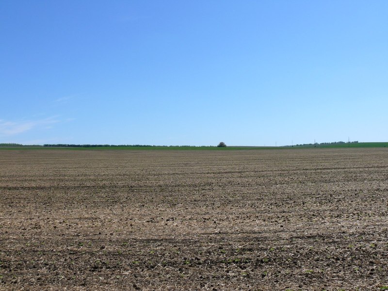 Вид на восток / East view