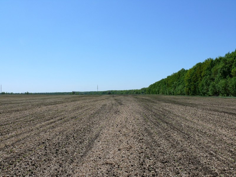 Вид на юг / South view