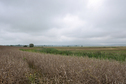 #2: View to the east