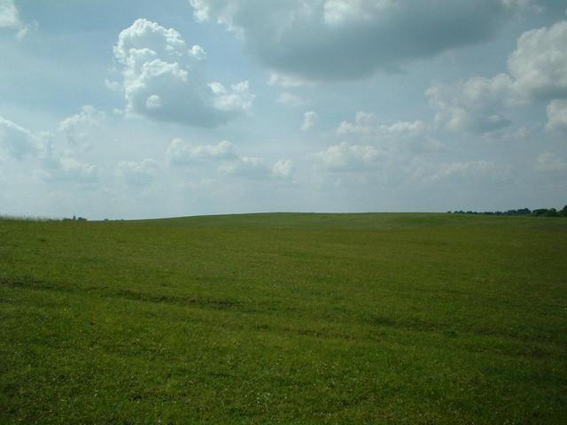 West view