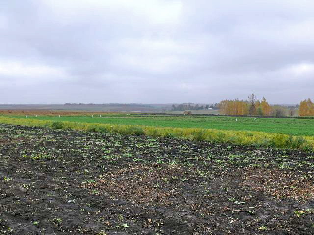Вид на север/North view