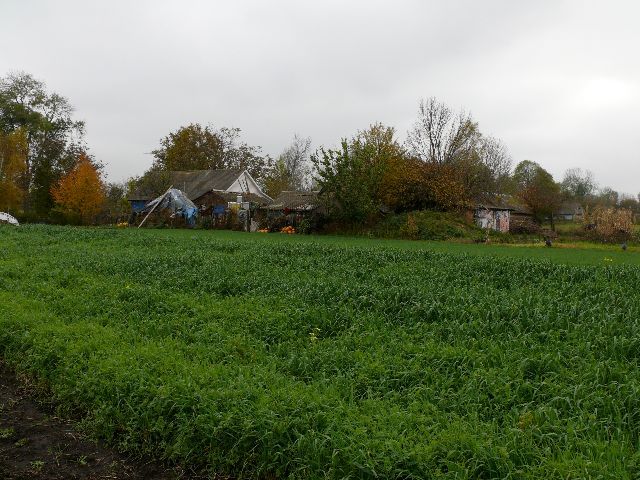 Вид на юг/South view