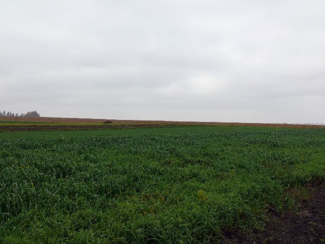 Вид на запад/West view