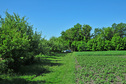 #2: View north / Blick nach Norden