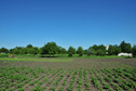#3: View west / Blick nach Westen