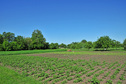 #4: View south / Blick nach Süden