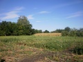 #2: South view