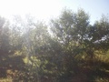 #4: North view