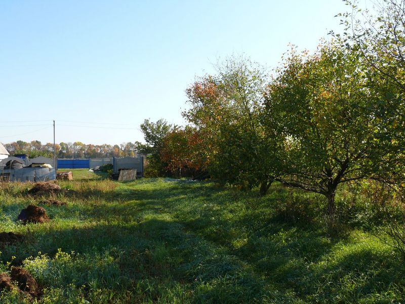 Вид на восток/East view