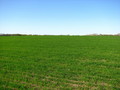 #2: North view