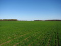 #3: East view