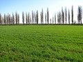 #4: South view