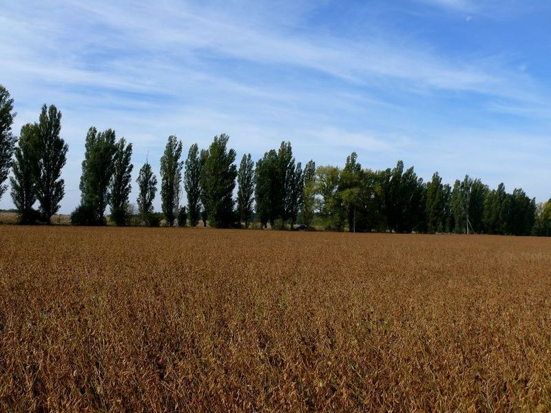 Вид на запад/West view