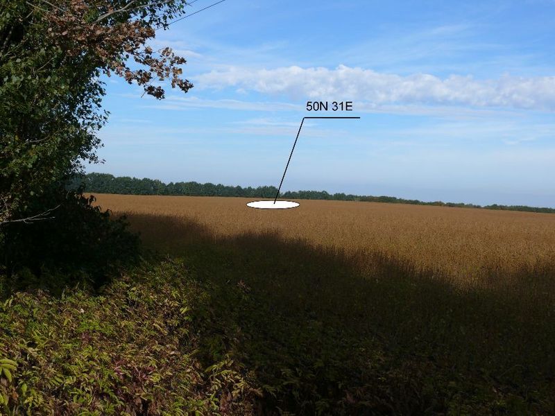 Общий вид слияния/General view