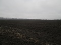 #2: View north