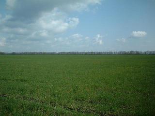 #1: General view