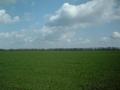 #2: View to North