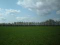 #4: View to South