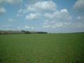 #5: View to West