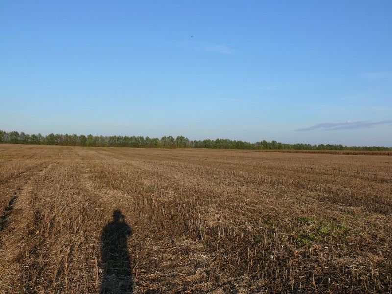 Вид на восток/East view