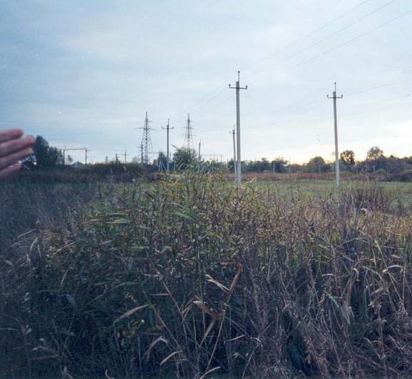 From CP to West (with the hand of Nikolay Yarovyi)