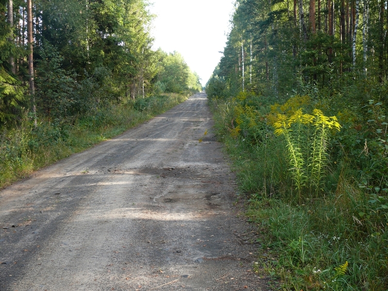 Полесский "автобан" / Local "highway"