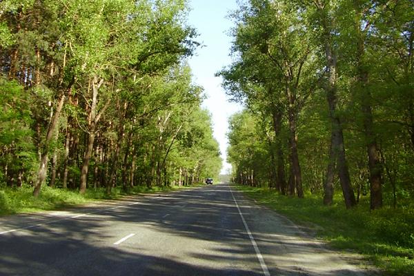 Road near degree confluence