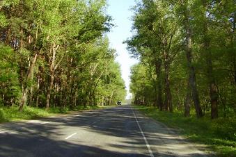 #1: Road near degree confluence