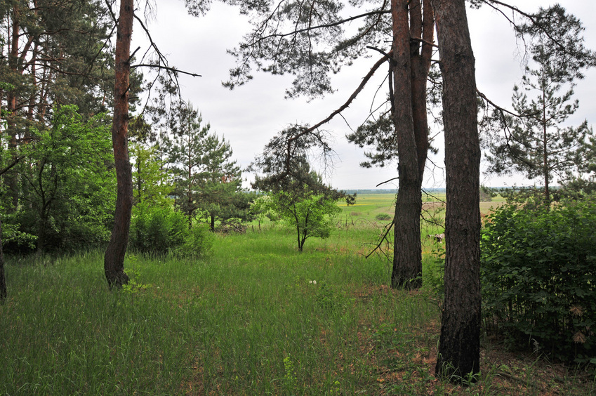 General view